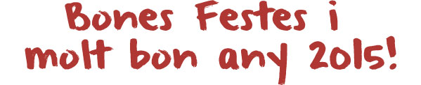 Bones festes i molt bon any 2015!